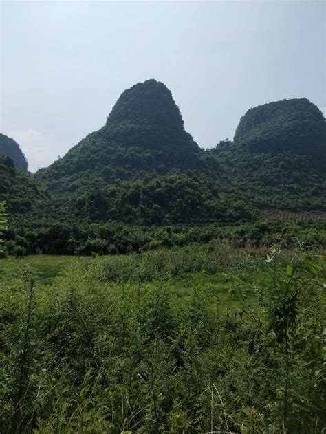 四柱全阴 舊名片怎麼處理